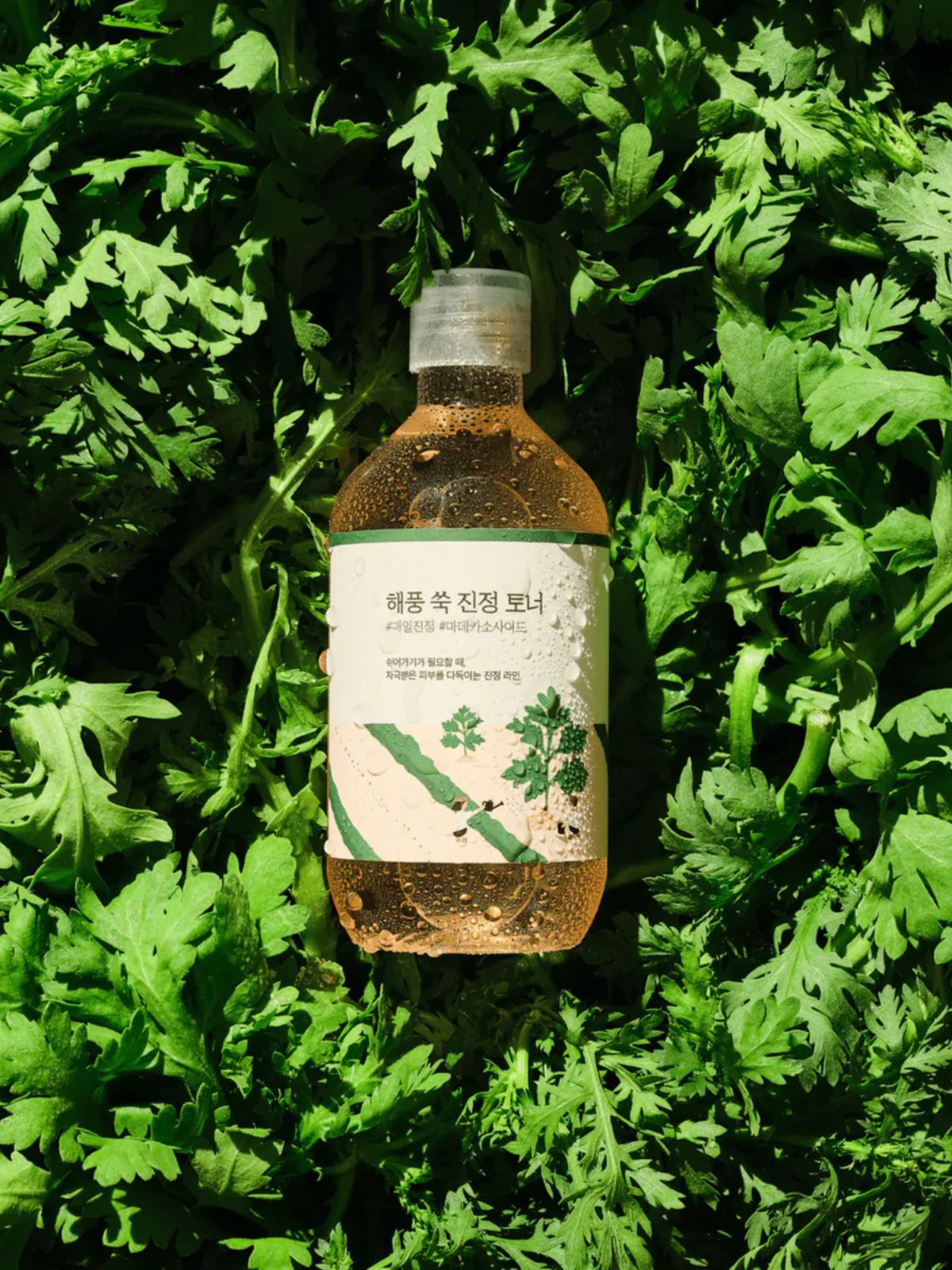 Mugwort Calming Toner (300 ml)